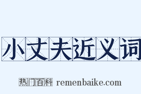 小丈夫近义词是什么意思的图片